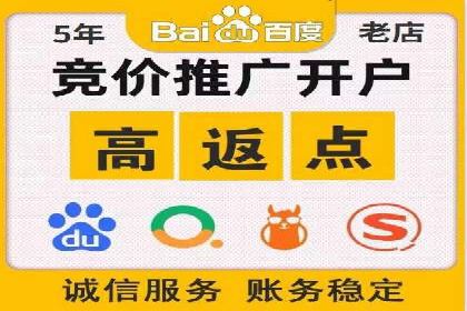 某品牌通过SEM关键词实现品牌推广的实战案例
